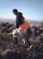 Preview: Non-Stop Dog Rescue Sling (Rettungstrageschlaufe)